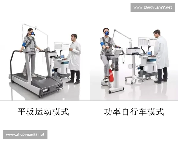 基于球队综合表现分析的状态评估方法与应用探讨